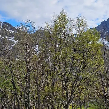 Haugteig 2 Apartment Urda