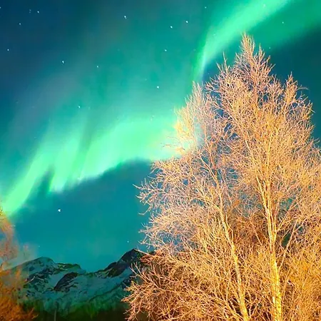 Haugteig 2 Apartment *